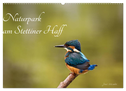 Naturpark am Stettiner Haff (Wandkalender 2024 DIN A2 quer), CALVENDO Monatskalender