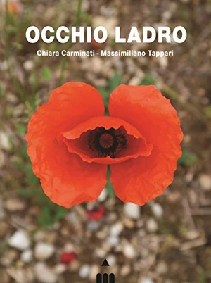 Carminati, Chiara. Occhio ladro. Lapis, 2020.