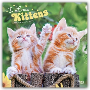 Publishers, Browntrout. I Love Kittens - Ich liebe Katzenbabys 2027 - 16-Monatskalender - Original BrownTrout-Kalender [Mehrsprachig] [Kalender]. Browntrout Verlags GmbH, 2026.