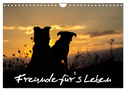 Hunde - Freunde für's Leben (Wandkalender 2025 DIN A4 quer), CALVENDO Monatskalender