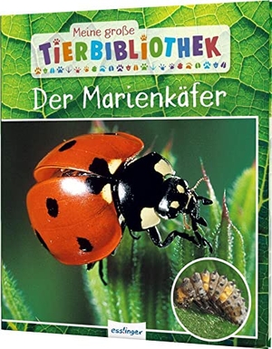 Tracqui, Valérie. Meine große Tierbibliothek: Der Marienkäfer - Sachbuch für Vorschule & Grundschule. Esslinger Verlag, 2021.