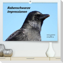 Rabenschwarze Impressionen - meike-ajo-dettlaff.de via  wildvogelhlfe.org (Premium, hochwertiger DIN A2 Wandkalender 2022, Kunstdruck in Hochglanz)