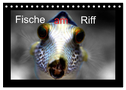 Fische am Riff (Tischkalender 2025 DIN A5 quer), CALVENDO Monatskalender
