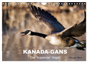 KANADA-GANS - Der 'hupende' Vogel (Wandkalender 2024 DIN A4 quer), CALVENDO Monatskalender