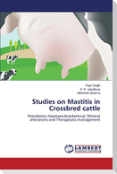 Studies on Mastitis in Crossbred cattle