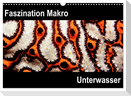 Faszination Makro Unterwasser (Wandkalender 2024 DIN A3 quer), CALVENDO Monatskalender