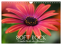 Soft Rock - Visuelle Musik der Blumen (Wandkalender 2024 DIN A4 quer), CALVENDO Monatskalender