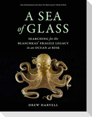 A Sea of Glass