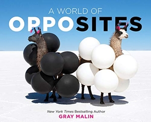 Malin, Gray. A World of Opposites - A Picture Book. Harry N. Abrams, 2020.