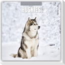 Huskies - Husky - Huskys 2027 - 16-Monatskalender