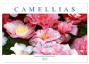 Camellias (Wall Calendar 2025 DIN A3 landscape), CALVENDO 12 Month Wall Calendar