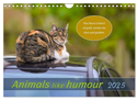Animals like humour (Wall Calendar 2025 DIN A4 landscape), CALVENDO 12 Month Wall Calendar