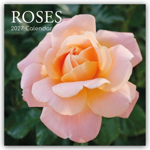 Gifted Stationery Co. Ltd. Roses - Rosen 2027 - 16-Monatskalender - Original Gifted Stationery-Kalender [Mehrsprachig] [Kalender]. Browntrout Verlags GmbH, 2026.
