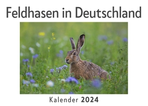 Müller, Anna. Feldhasen in Deutschland (Wandkalender 2024, Kalender DIN A4 quer, Monatskalender im Querformat mit Kalendarium, Das perfekte Geschenk). 27amigos, 2023.