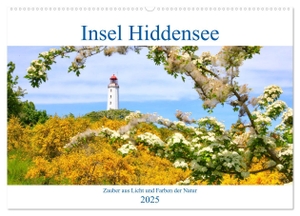 Anders, Holm. Hiddensee mon amour (Wandkalender 2025 DIN A2 quer), CALVENDO Monatskalender - Sehnsuchtsort Insel Hiddensee. Calvendo, 2024.
