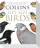 Collins Life-Size Birds