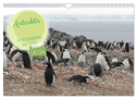 Antarktis Auf der Entdeckung ihrer Tierwelt (Wandkalender 2024 DIN A4 quer), CALVENDO Monatskalender