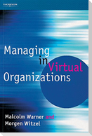 Managing in Virtual Organizations