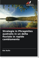Strategie in Phragmites australis in un delta fluviale in rapido cambiamento