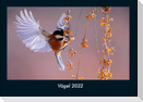 Vögel 2022 Fotokalender DIN A4