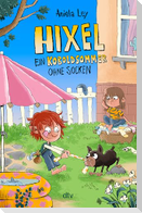 Hixel - Ein Koboldsommer ohne Socken