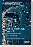 Business Under Crisis, Volume II