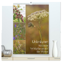 Unkräuter - Nützliche Wildpflanzen auf der Wiese (hochwertiger Premium Wandkalender 2024 DIN A2 hoch), Kunstdruck in Hochglanz