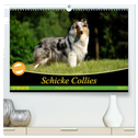 Schicke Collies (hochwertiger Premium Wandkalender 2025 DIN A2 quer), Kunstdruck in Hochglanz