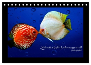 Hultsch, Heike. Kalendarische Unterwasserwelt (Tischkalender 2024 DIN A5 quer), CALVENDO Monatskalender - Fantastisch-schöne Fische, nicht nur für Aquarianer. Calvendo Verlag, 2023.