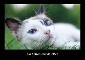 Tobias Becker. Für Katzenfreunde 2022 Fotokalender DIN A3 - Monatskalender mit Bild-Motiven von Haustieren, Bauernhof, wilden Tieren und Raubtieren. Vero Kalender, 2021.