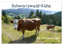 Schwarzwald-Kühe - Die Hinterwälder (Wandkalender 2024 DIN A2 quer), CALVENDO Monatskalender