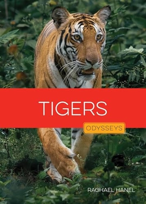 Hanel, Rachael. Tigers. Creative Company, 2025.