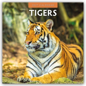 Red, Robin. Tigers - Tiger 2027 - 16-Monatskalender - Original Red Robin Publishing Ltd-Kalender [Mehrsprachig] [Kalender]. Browntrout Verlags GmbH, 2026.