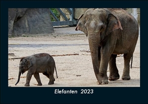 Tobias Becker. Elefanten  2023 Fotokalender DIN A5 - Monatskalender mit Bild-Motiven von Haustieren, Bauernhof, wilden Tieren und Raubtieren. Vero Kalender, 2022.
