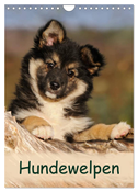 Hundewelpen (Wandkalender 2025 DIN A4 hoch), CALVENDO Monatskalender