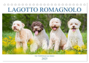 Lagotto Romagnolo - Der Trüffelhund aus Italien (Tischkalender 2025 DIN A5 quer), CALVENDO Monatskalender