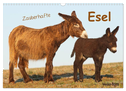 Zauberhafte Esel (Wandkalender 2024 DIN A3 quer), CALVENDO Monatskalender