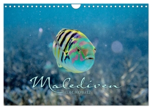 Rodriguez Photography, Clave. Unterwasserwelt der Malediven II (Wandkalender 2024 DIN A4 quer), CALVENDO Monatskalender - Die vielfältige und faszinierende Unterwasserwelt der Malediven.. Calvendo Verlag, 2023.
