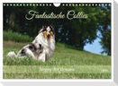 Fantastische Collies - Sieger der Herzen (Wandkalender 2025 DIN A4 quer), CALVENDO Monatskalender