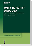Why is ¿Why¿ Unique?