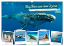 Big Five aus dem Ozean Hai, Delphin, Wal, Robbe, Pinguin (Wandkalender 2024 DIN A2 quer), CALVENDO Monatskalender