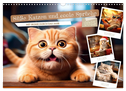 Süße Katzen und coole Sprüche (Wandkalender 2025 DIN A3 quer), CALVENDO Monatskalender