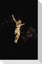 Hoffnung für alle. Die Bibel - "Golden Jesus Edition"