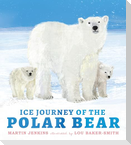 Ice Journey of the Polar Bear