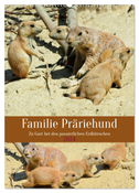 Familie Präriehund (Wandkalender 2024 DIN A2 hoch), CALVENDO Monatskalender