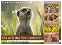Die Welt der Erdmännchen (Wandkalender 2027 DIN A4 quer), CALVENDO Monatskalender