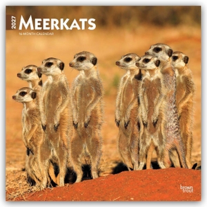 Publishers, Browntrout. Meerkats - Erdmännchen 2027 - 16-Monatskalender - Original BrownTrout-Kalender [Mehrsprachig] [Kalender]. Browntrout Verlags GmbH, 2026.