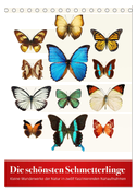 Die schönsten Schmetterlinge (Tischkalender 2025 DIN A5 hoch), CALVENDO Monatskalender