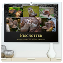 Fischotter - putzige Kerlchen und elegante Schwimmer (hochwertiger Premium Wandkalender 2025 DIN A2 quer), Kunstdruck in Hochglanz