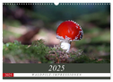 Waldpilz-Impressionen (Wandkalender 2025 DIN A3 quer), CALVENDO Monatskalender